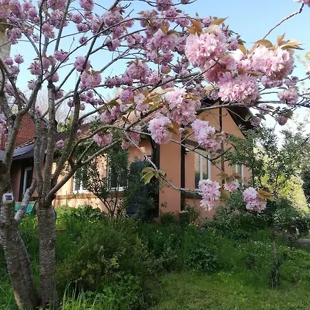 Beautiful House In Giverny